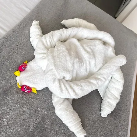 Cochilia Ultracentral 3 Stele Costinești