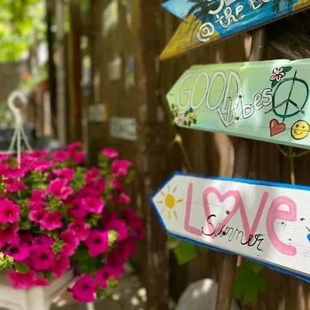 Cochilia Ultracentral 3 Stele