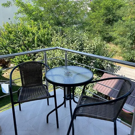 Cochilia Ultracentral 3 Stele 3*