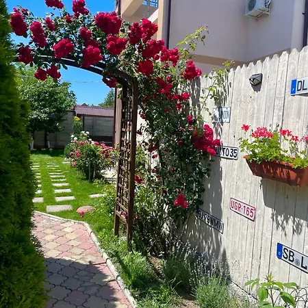 Cochilia Ultracentral 3 Stele 3* Costinești