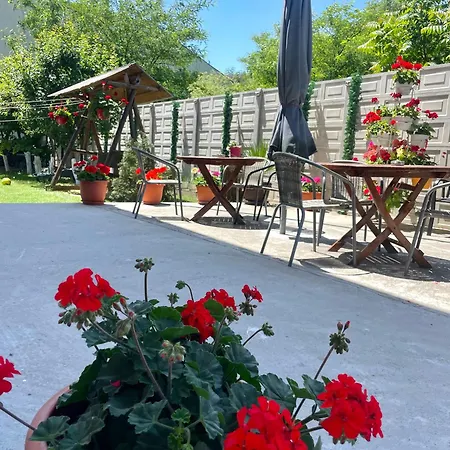 Cochilia Ultracentral 3 Stele 3* Costinești