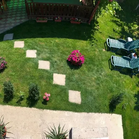 Pensionat Cochilia Ultracentral 3 Stele Costinesti