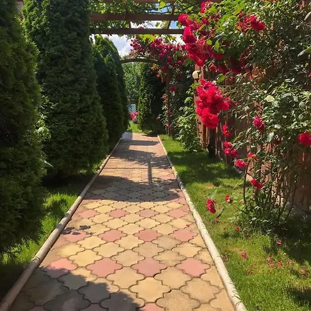 Cochilia Ultracentral 3 Stele Pensionat Costinesti