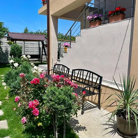 Cochilia Ultracentral 3 Stele 3*