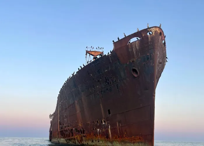 Cochilia Ultracentral 3 Stele Gæstehus Costinesti