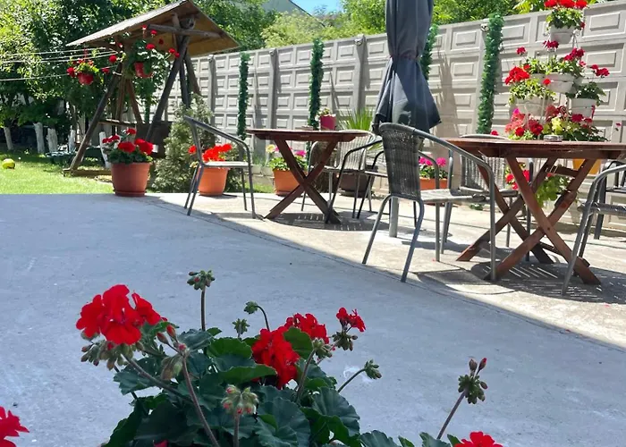 Cochilia Ultracentral 3 Stele 3* Costinesti